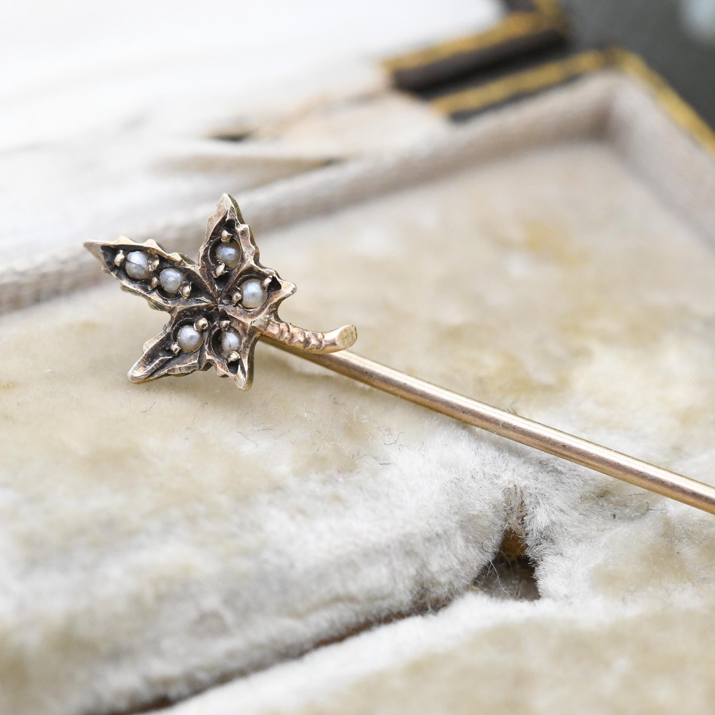 Antique 10ct Gold Leaf Stick Pin with Seed Pearls - Edwardian Small Split Pearls Cravat Ascot Brooch | Floral Maple Autumn Leaf Pin