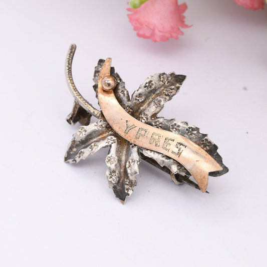 Antique WWI Silver Ypres Brooch - First World War Collectable | Rose Gold Plating | Ivy Leaf | Trench Art