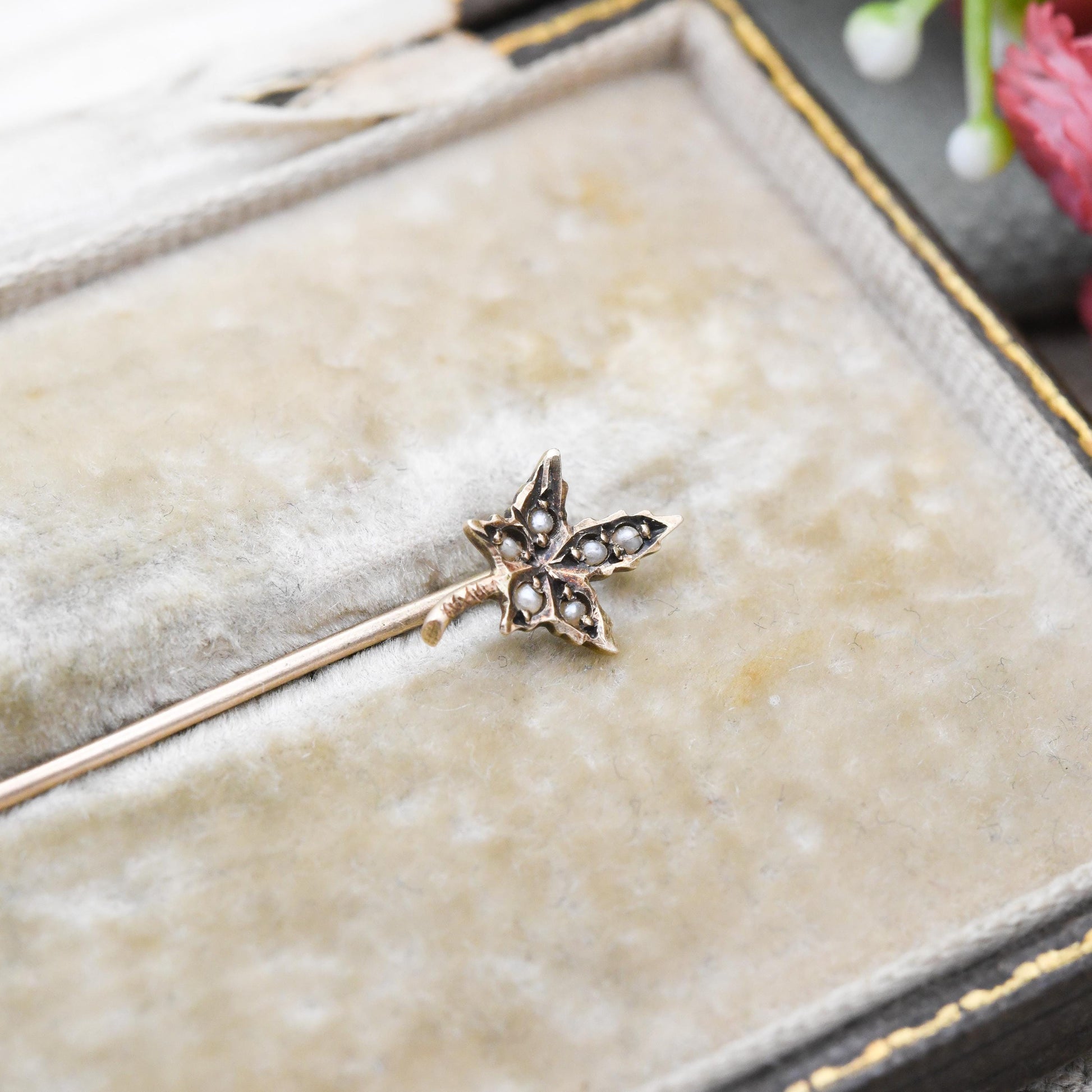 Antique 10ct Gold Leaf Stick Pin with Seed Pearls - Edwardian Small Split Pearls Cravat Ascot Brooch | Floral Maple Autumn Leaf Pin