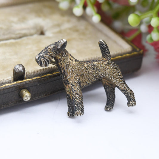Antique Sterling Silver Terrier Dog Brooch c. 1910 - Edwardian Era 3D Animal Jewellery | Textured Fur | Welsh Airedale Terrier