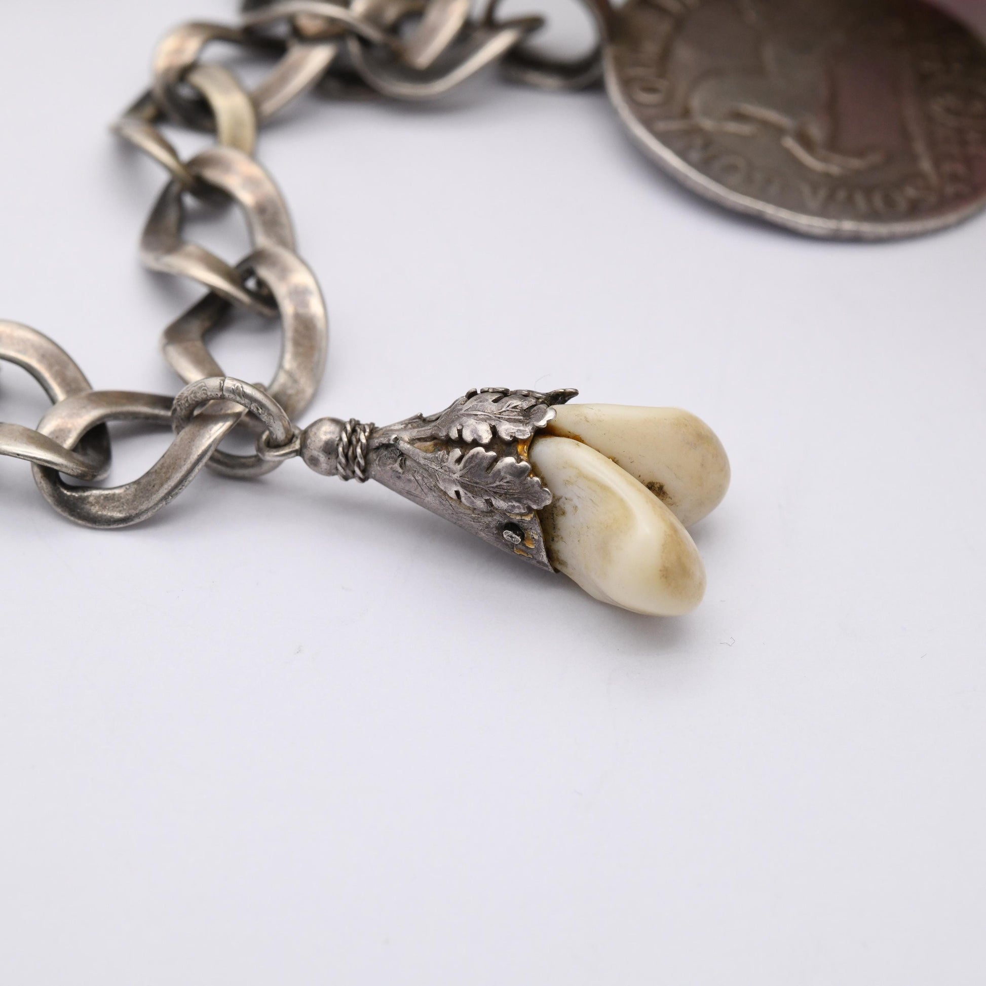 Antique European Silver Chain with Deer Teeth Pendant and Collectable Coins - Hungary 1686 15 Kreuzers and German States 1692 2/3 Thaler
