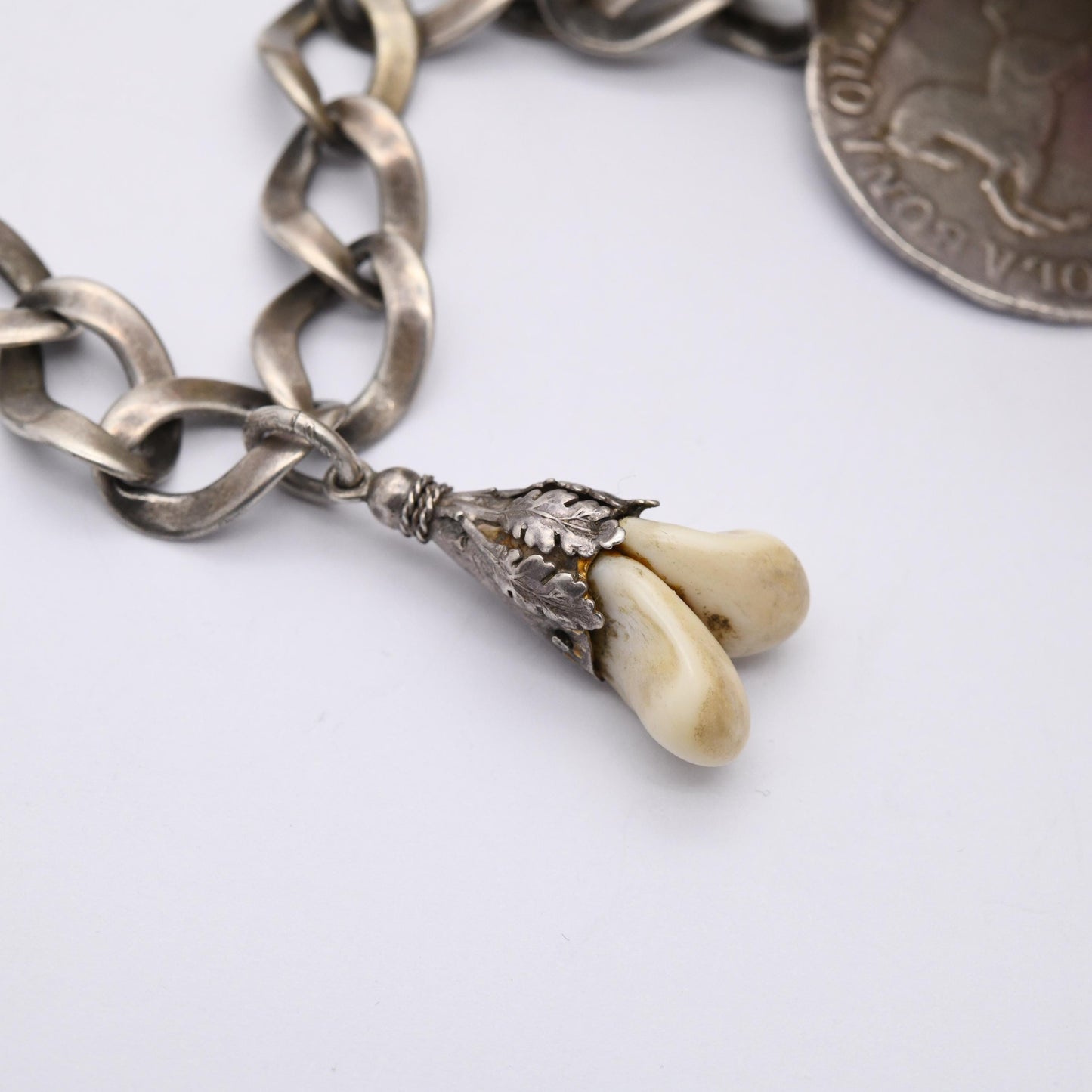 Antique European Silver Chain with Deer Teeth Pendant and Collectable Coins - Hungary 1686 15 Kreuzers and German States 1692 2/3 Thaler