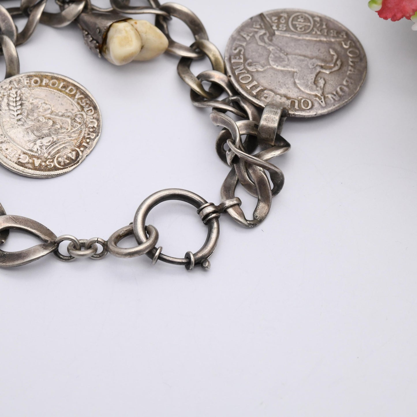 Antique European Silver Chain with Deer Teeth Pendant and Collectable Coins - Hungary 1686 15 Kreuzers and German States 1692 2/3 Thaler