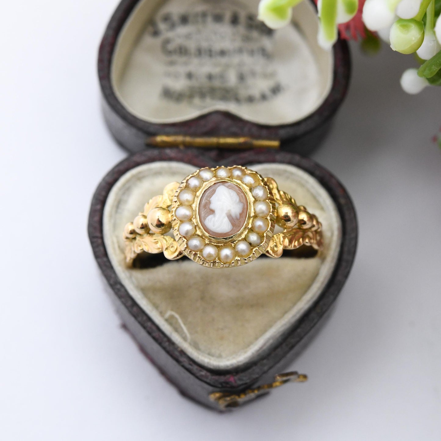 Antique Georgian Gold Cameo Ring with Seed Pearl Halo c. 1830 - Miniature Hand Carved Shell Cameo | UK Size - U 1/2 | US Size - 10 1/2