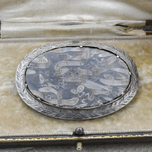 Antique Silver Coral Fossil Brooch Pendant c. 1890's - Siphonodendron Junceum Fossil set into an Engraved Floral Mount | Victorian Fossil