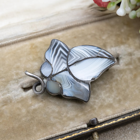 Antique Victorian Silver Scottish Agate Ivy Brooch - Scottish Hardstone Natural Gemstones | Collectable | Sterling Silver