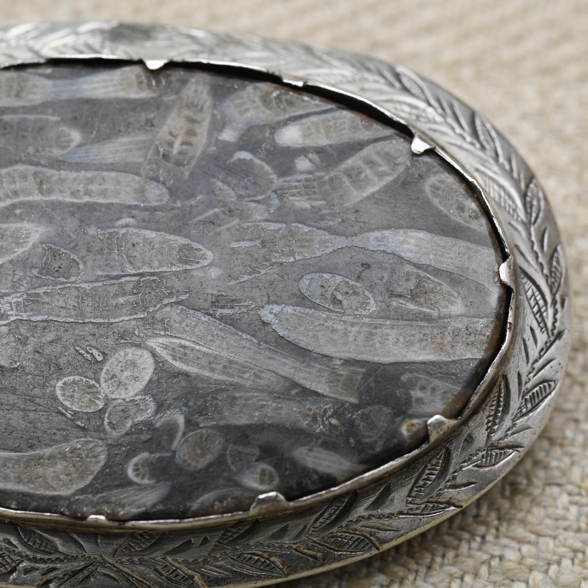 Antique Silver Coral Fossil Brooch Pendant c. 1890's - Siphonodendron Junceum Fossil set into an Engraved Floral Mount | Victorian Fossil