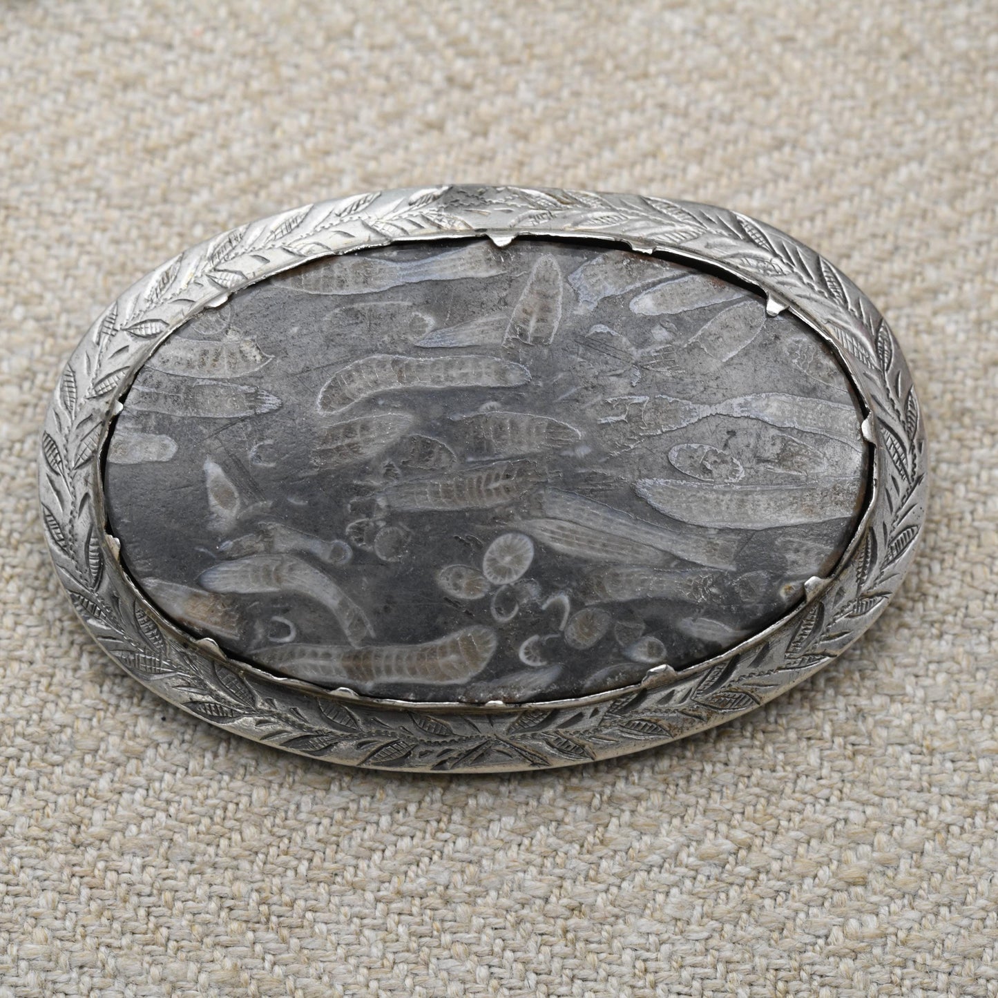 Antique Silver Coral Fossil Brooch Pendant c. 1890's - Siphonodendron Junceum Fossil set into an Engraved Floral Mount | Victorian Fossil