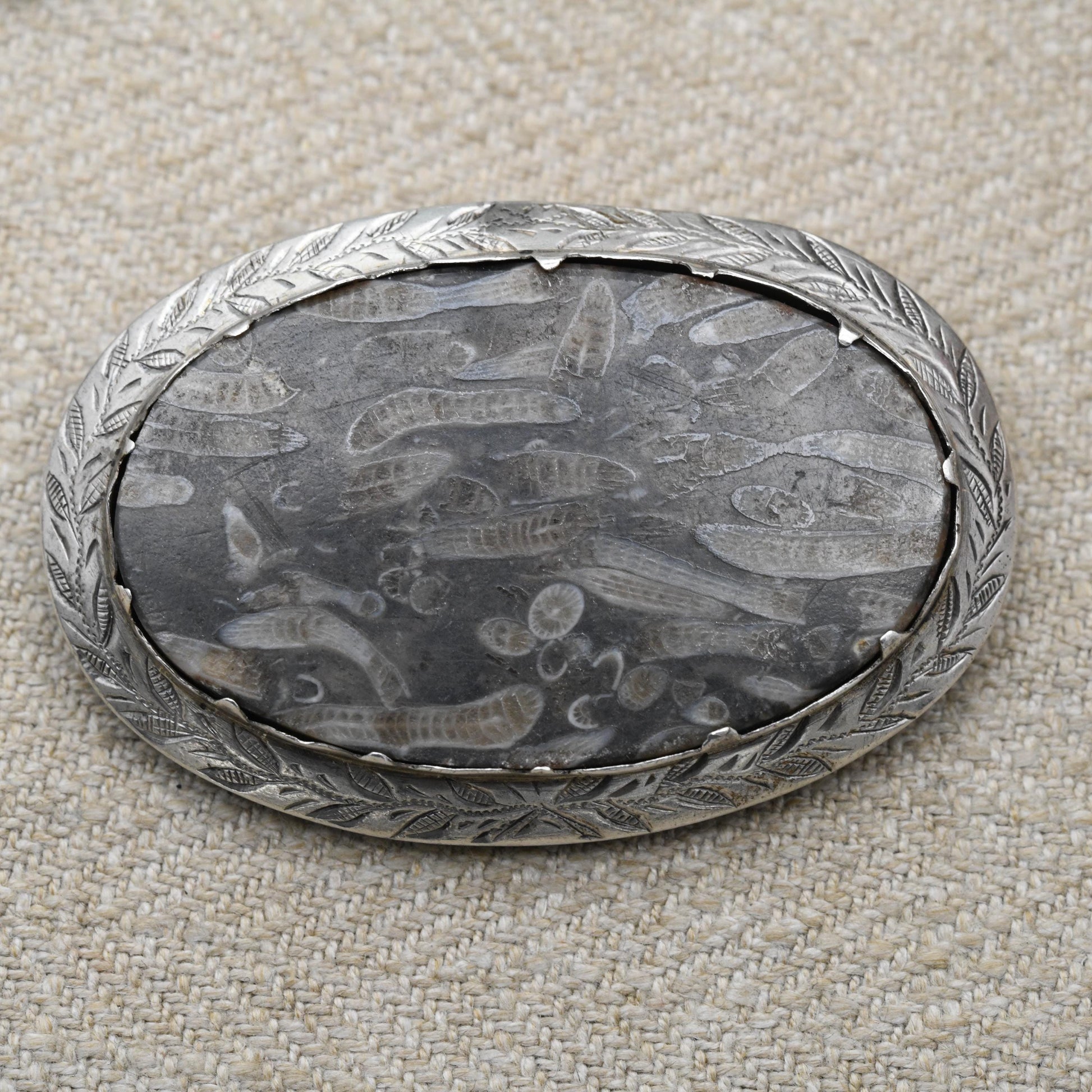 Antique Silver Coral Fossil Brooch Pendant c. 1890's - Siphonodendron Junceum Fossil set into an Engraved Floral Mount | Victorian Fossil