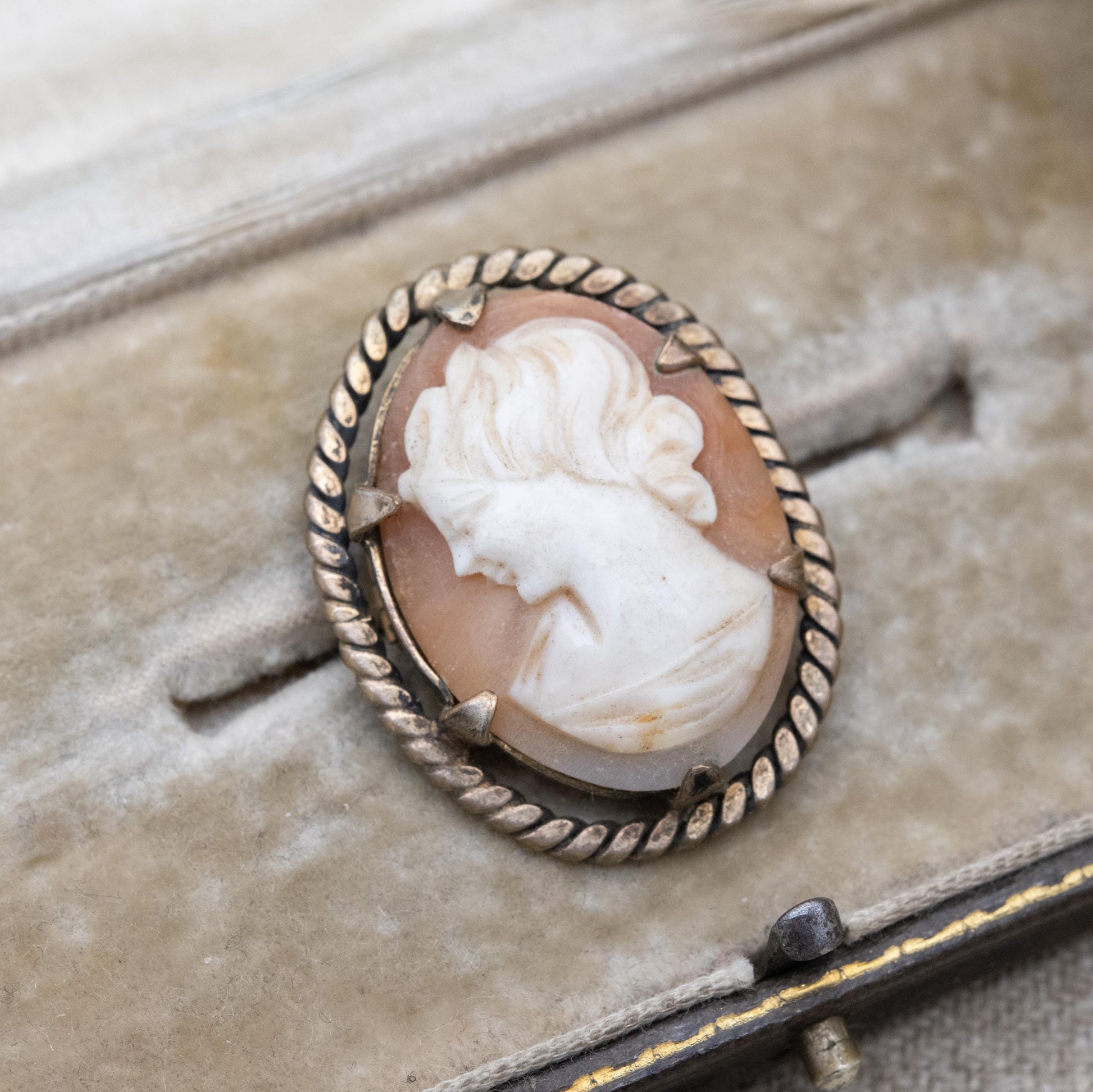 Vintage Rolled Gold Shell Cameo Brooch - Hand Carved Portrait Woman's Face Bust | Rope Twist Border