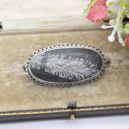 Antique Victorian Silver Coral Fossil Brooch c. 1890's - Fossilised Coral | Rope Twist Mount