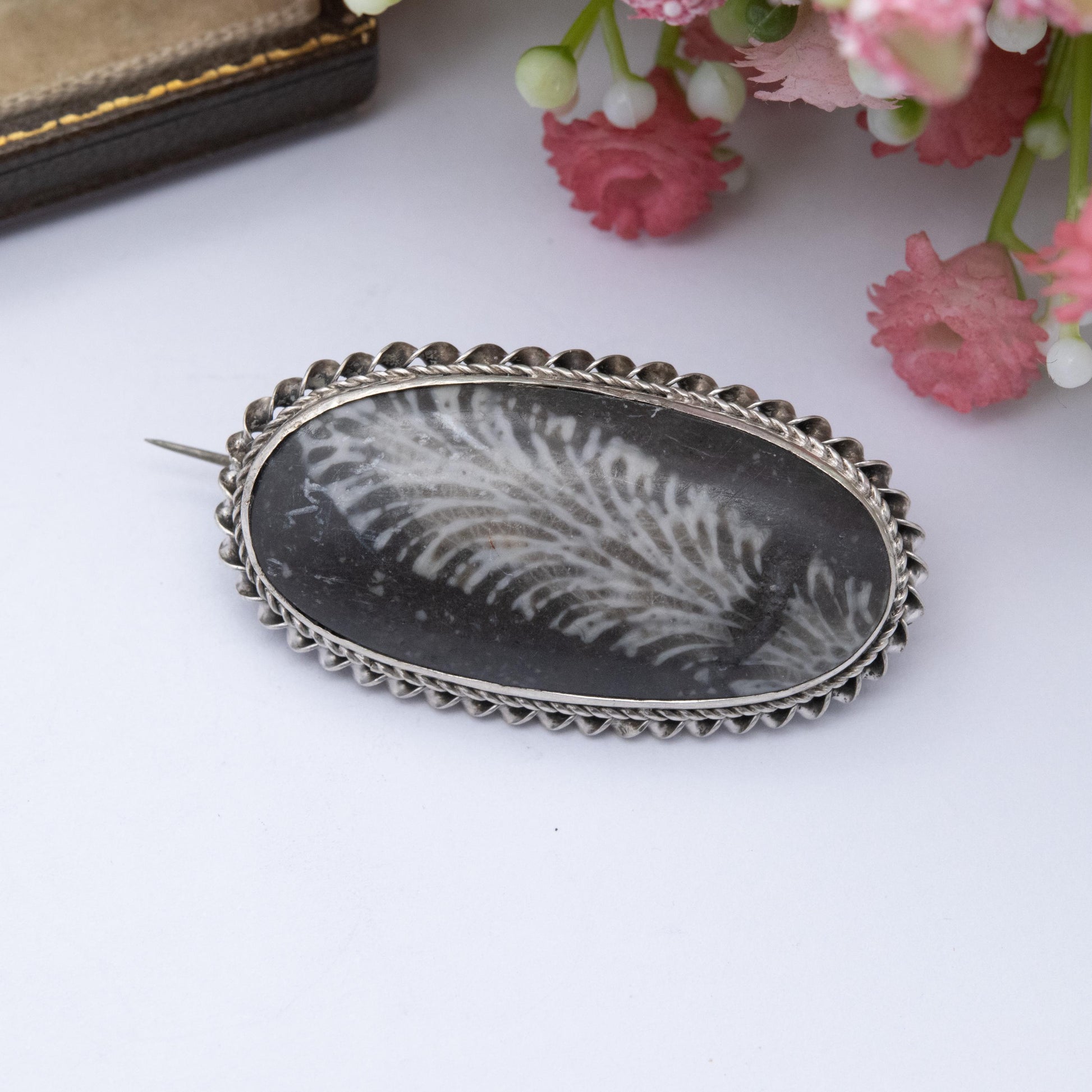 Antique Victorian Silver Coral Fossil Brooch c. 1890's - Fossilised Coral | Rope Twist Mount