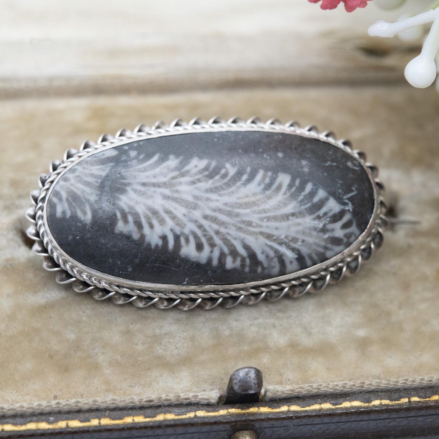 Antique Victorian Silver Coral Fossil Brooch c. 1890's - Fossilised Coral | Rope Twist Mount