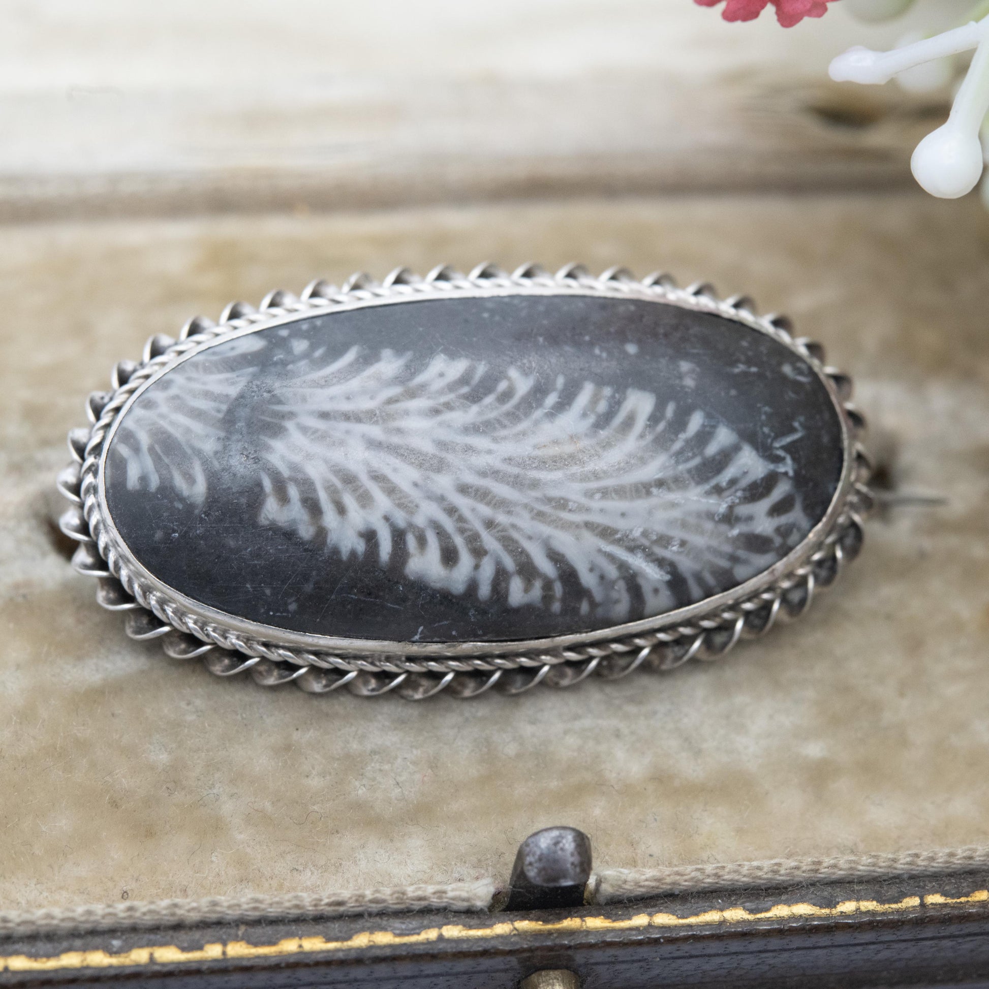 Antique Victorian Silver Coral Fossil Brooch c. 1890's - Fossilised Coral | Rope Twist Mount