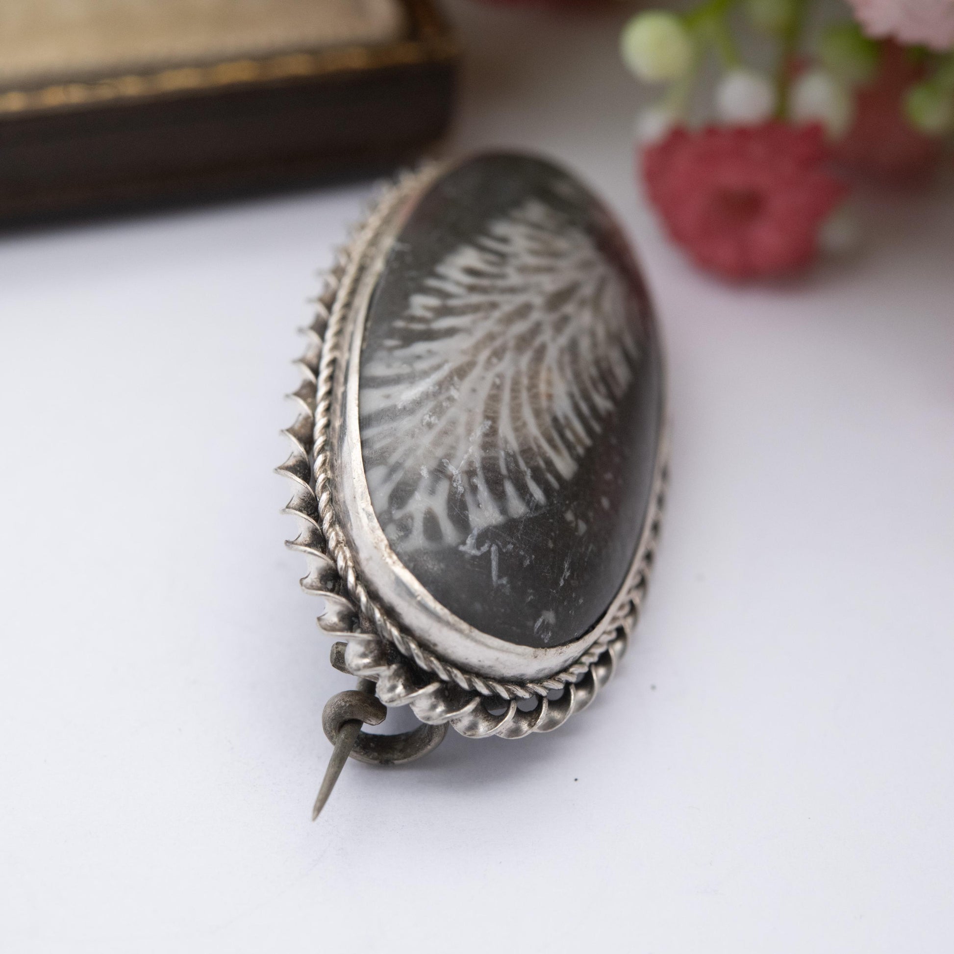 Antique Victorian Silver Coral Fossil Brooch c. 1890's - Fossilised Coral | Rope Twist Mount