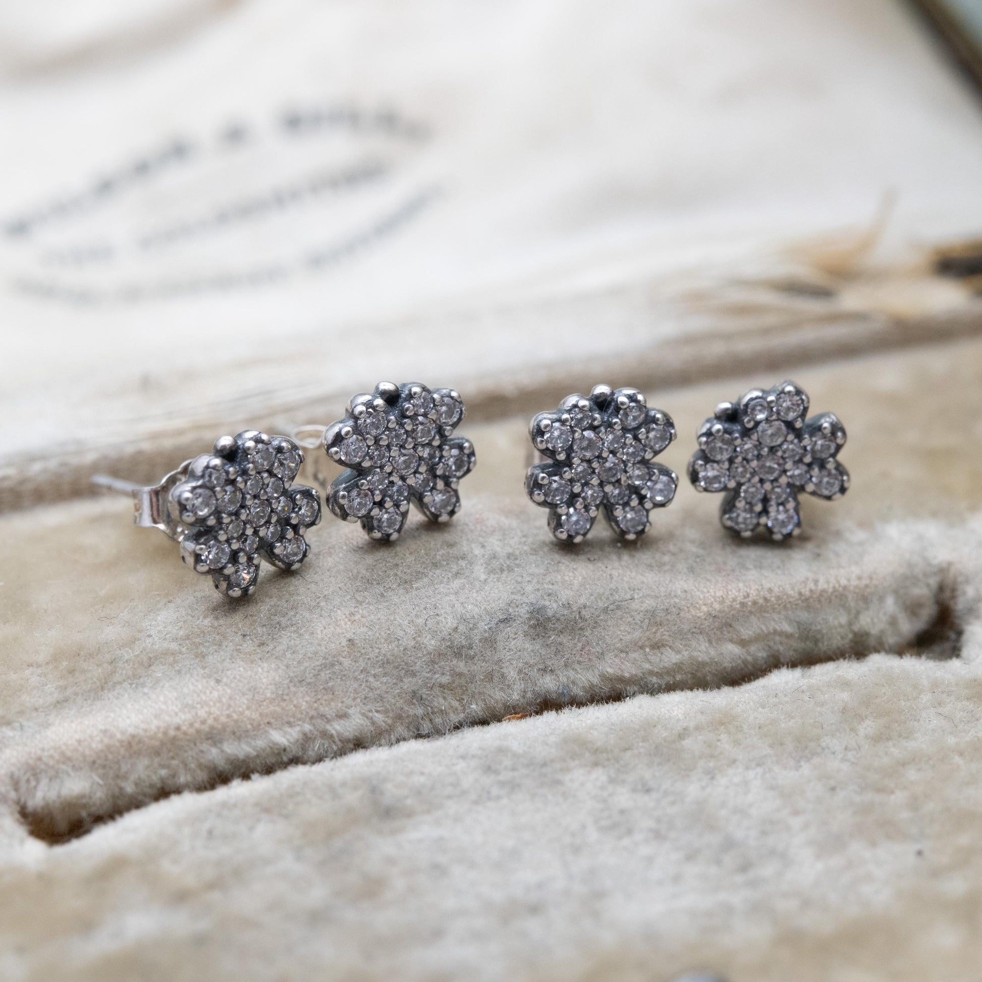 Pandora Sterling Silver Clear Stone Flower Stud Earrings - Designer Gift for Her